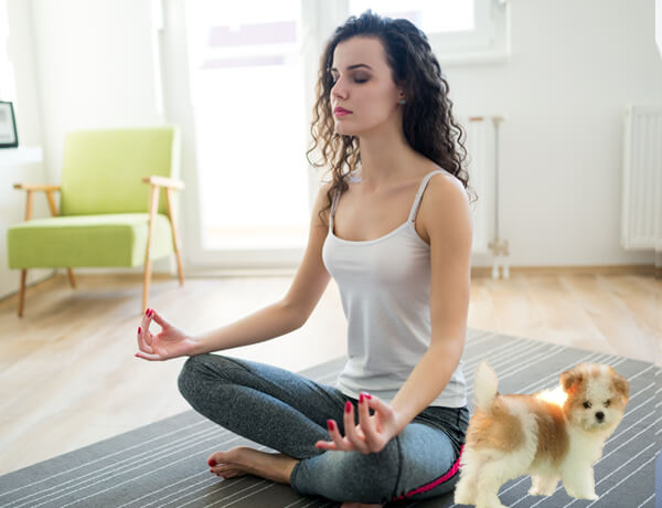 puppy yoga bali rizki mantap