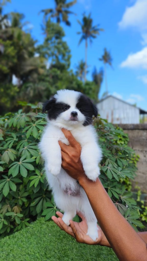 1000438824