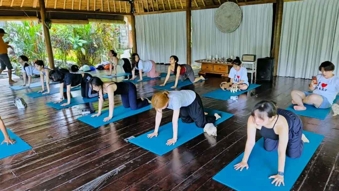 puppy yoga bali56