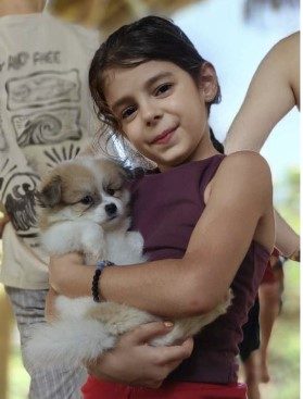 puppy yoga bali66