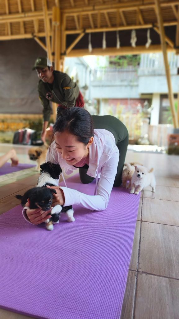 puppy yoga bali rizky baru yes10, what to wear to puppy yoga